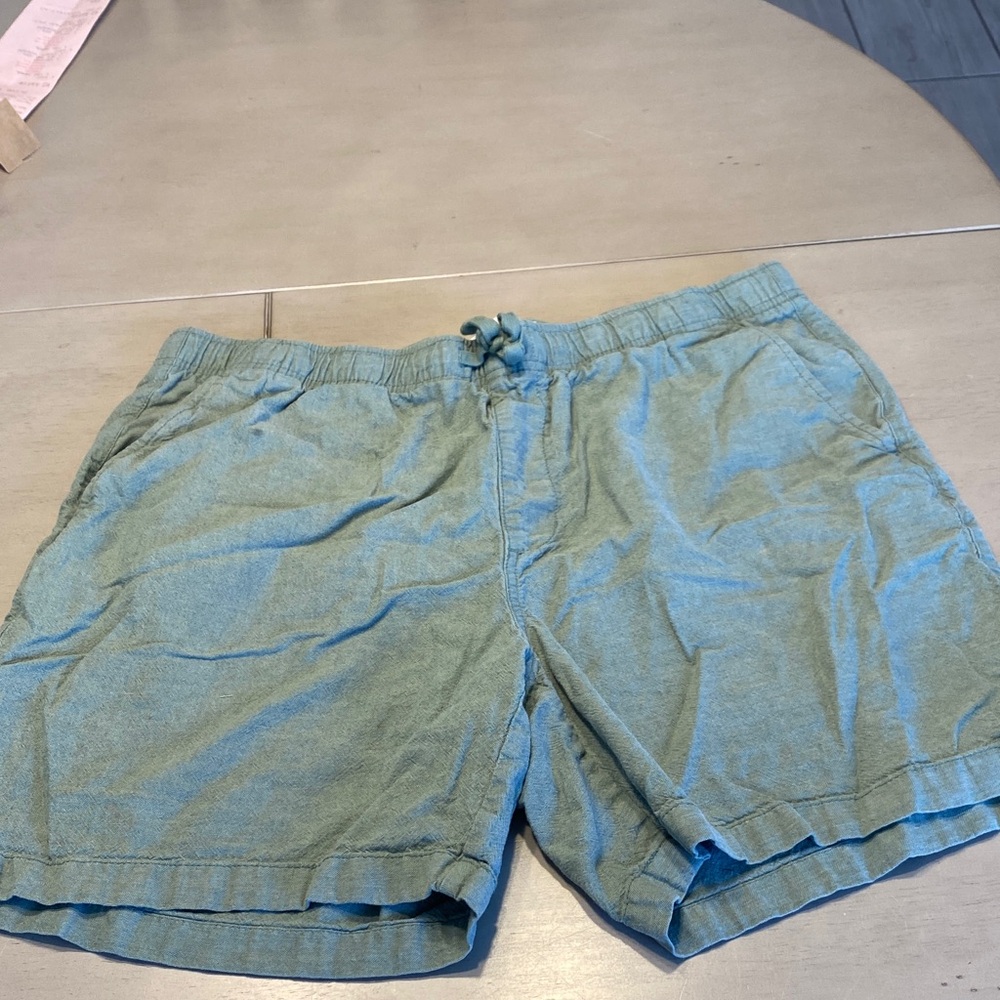 Old Navy Men's Light Green Flat Front Shorts